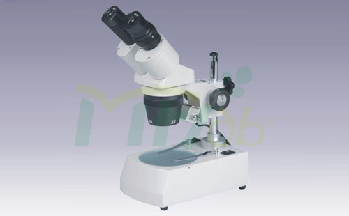 MF5310 Microscope